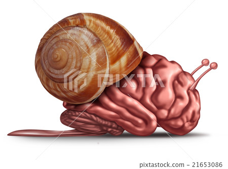 Thinking Slow 21653086