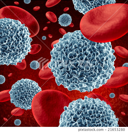 White Blood Cells 21653280