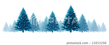 Winter Blue Pine Background 21653298