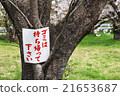 Let's take out the cherry-blossom garbage. 21653687