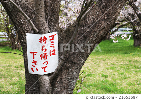 Let's take out the cherry-blossom garbage. 21653687