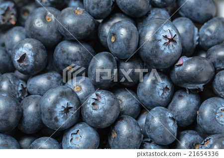 Berry 21654336