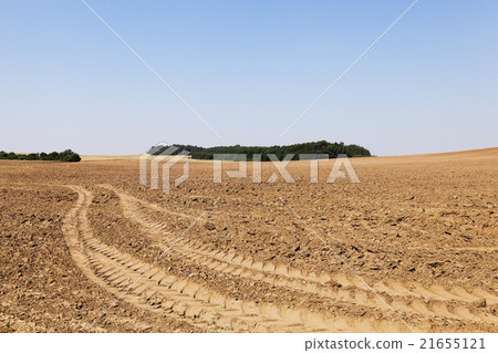 plowed land, summer plowed land, summer 21655121