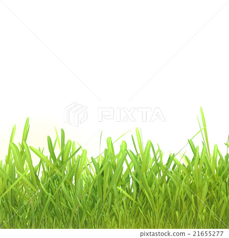 green grass isolated on white background - Stock Illustration [21655277 ...