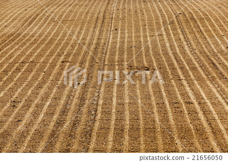 plowed agricultural land   21656050