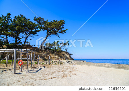 Nose of the Nagashima Palace 21656201