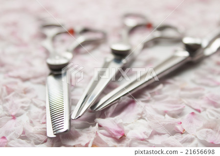 櫻花和剪刀 21656698