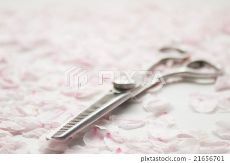 櫻花和剪刀 櫻花和剪刀 21656701