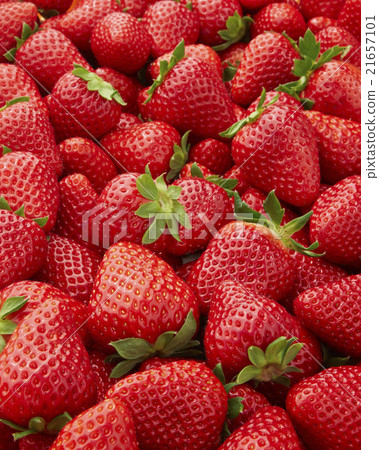 Ancient city capital Ancient city capital 21657101