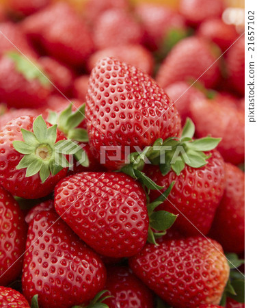 Ancient city capital 21657102