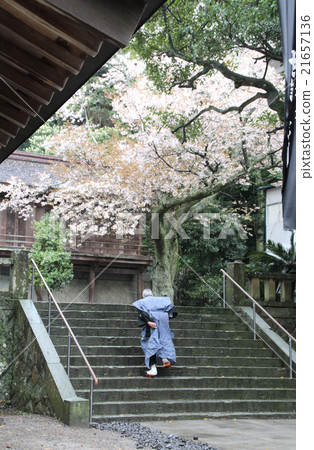 Miho Shrine 21657136