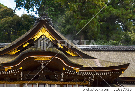 The roof of Ogami Shrine where steam rises 21657736