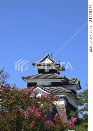 Kominecheng 21659175