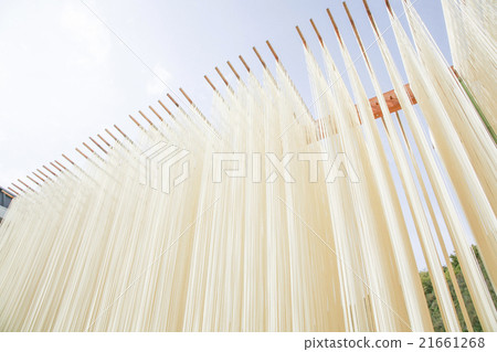 Sun noodles sun-dried scenery Sun noodles sun-dried scenery 21661268
