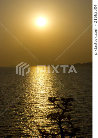Sunset of Bunfu 21662304