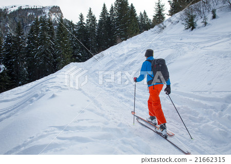 Randonnee ski trails near the forest 21662315