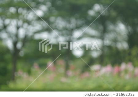 Blurred pink flower and tree for background Blurred pink flower and tree for background 21662352