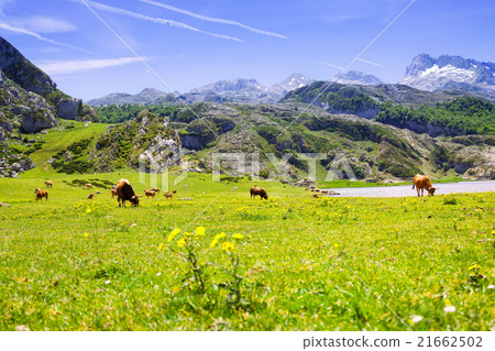 Mountains landscape with lake and pasture Mountains landscape with lake and pasture 21662502