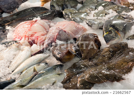Raw fresh fish 21662567