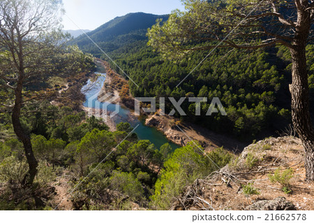 Mountains river with forest riverside Mountains river with forest riverside 21662578