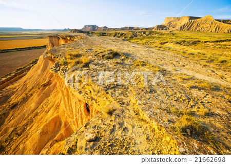 desert landscape of Navarra in summer morning 21662698