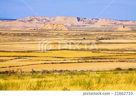 semi-desert landscape of Navarra 21662710