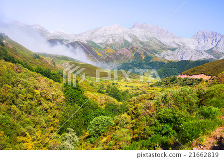 mountain landscape with fog mountain landscape with fog 21662819