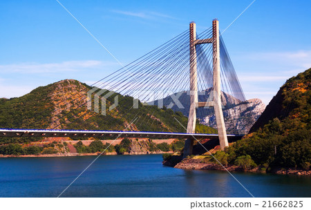 View of cable-stayed bridge 21662825