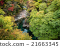 築地峽 21663345