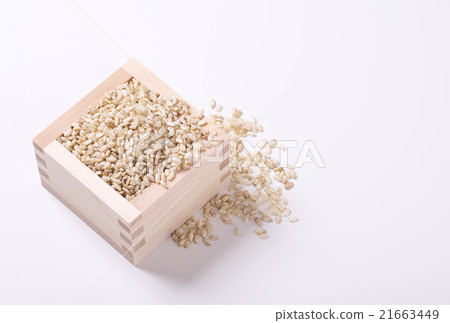 Brown rice koji natural cultivated raw koji image background material Brown rice koji natural cultivated raw koji image background material 21663449