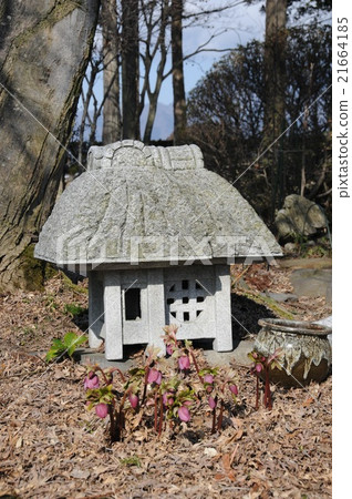 A grass house 21664185