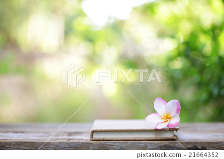 Notebook and plumaria flower on wooden Notebook and plumaria flower on wooden 21664352