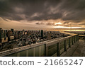 twilight 21665247