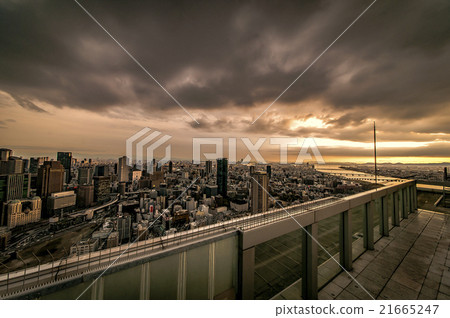 twilight twilight 21665247