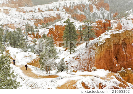 Hikers venture into snow covered Bryce Canyon 21665302