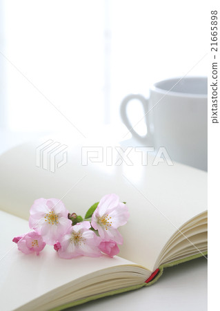 櫻花，書籍和咖啡 21665898