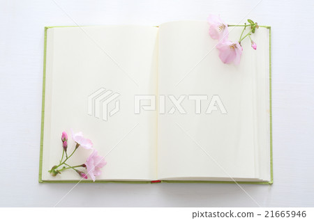 櫻花,書籍和咖啡 櫻花,書籍和咖啡 21665946