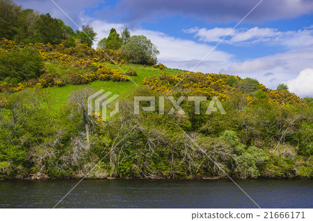 Nature in Loch Ness in Scotland Nature in Loch Ness in Scotland 21666171