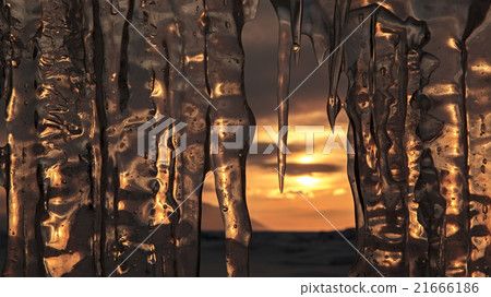 Setting sun is reflected in icicles. 21666186