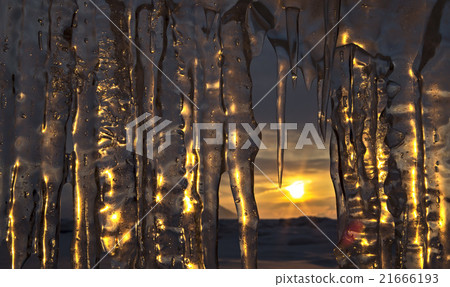 Setting sun is reflected in icicles. Setting sun is reflected in icicles. 21666193