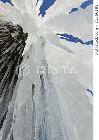 Huge icicles on rocks. 21666195