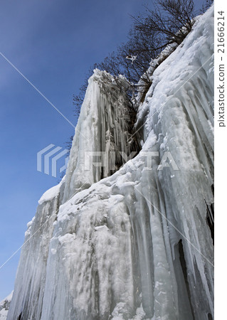 Huge icicles on rocks. Huge icicles on rocks. 21666214