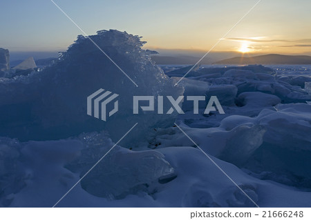 Ice dragon looking at the rising sun. 21666248