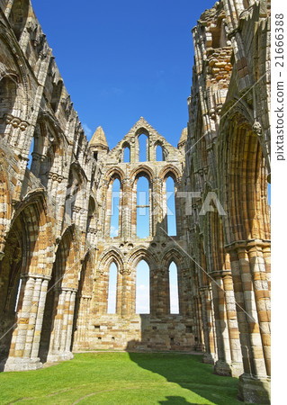 Ruined inner walls Whitby Abbey in North Yorkshire 21666388