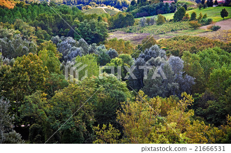 Italian landscape 21666531