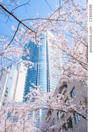 東京的觀光景點 21666886