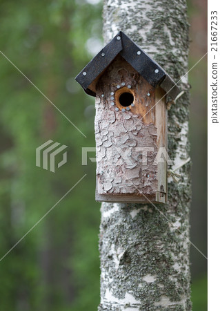 Handmade birdhouse on tree 21667233