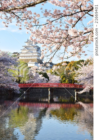 Uncategorized Himeji castle Uncategorized Himeji castle 21669401