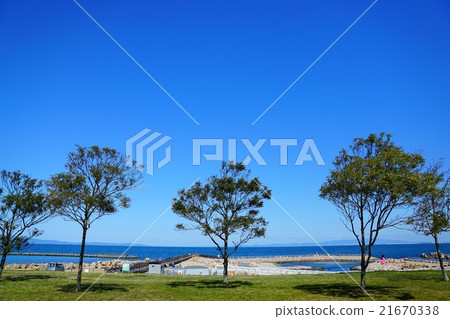 Green trees by the seaside Green trees by the seaside 21670338
