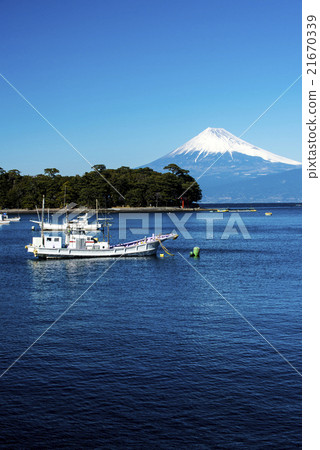 Fuji view from Toda fishing port 21670339